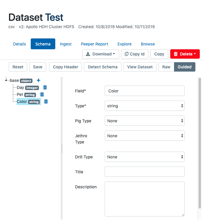 Guided Schema builder details
