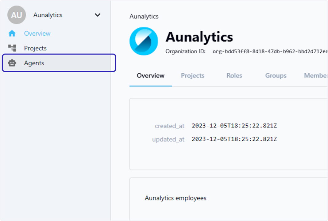The Agents tab within an organization